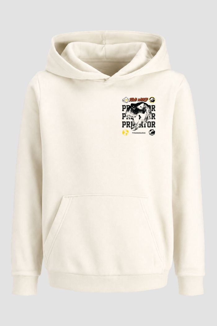 Moletom Canguru Streetwear Unissex Com Capuz | Dino Word Predator Est.333-334